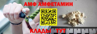 стаф Гатчина
