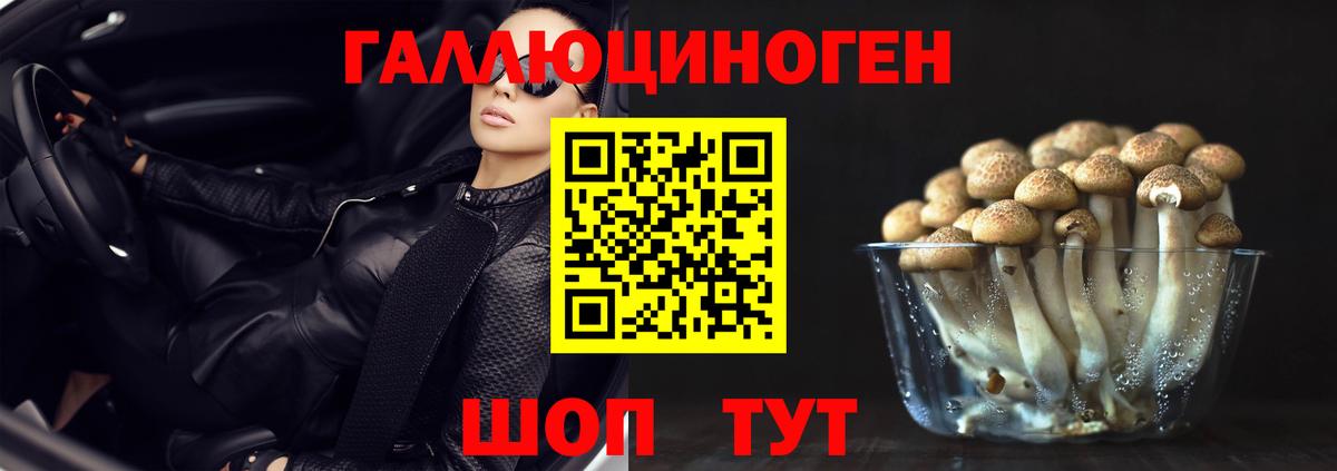 Псилоцибиновые грибы мухоморы Медногорск